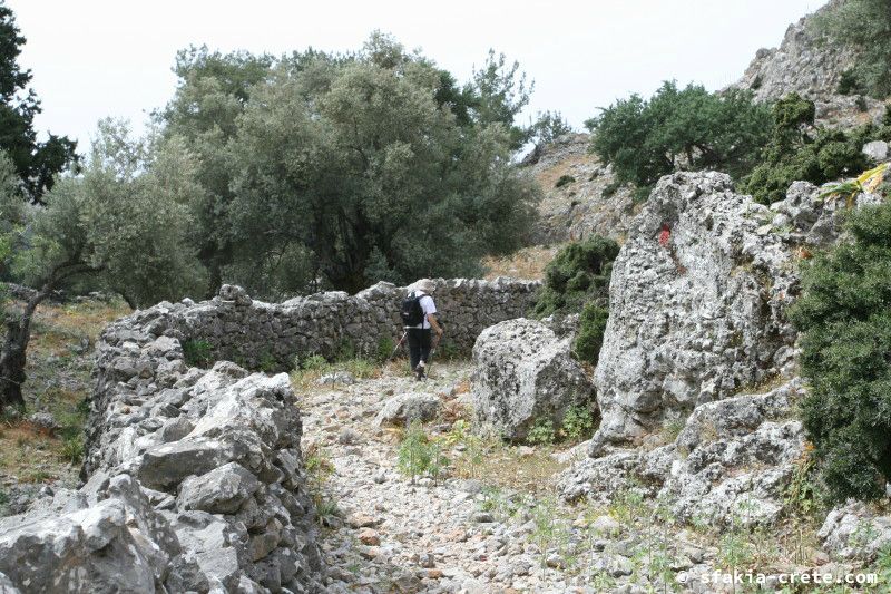 Photo report of a walk from Agios Ioannis - Selouda - Agios Pavlos, Sfakia, May 2008