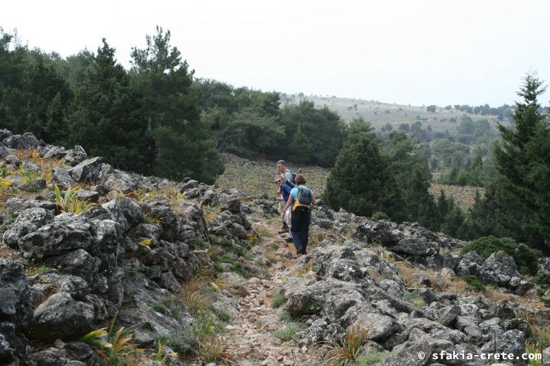 Photo report of a walk from Agios Ioannis - Selouda - Agios Pavlos, Sfakia, May 2008