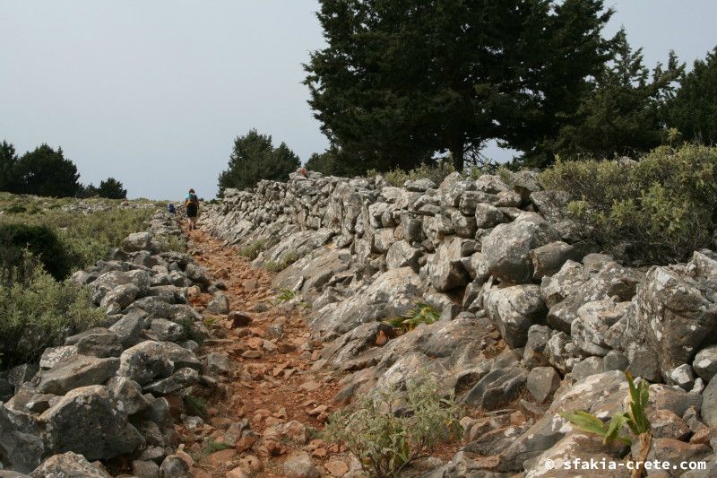 Photo report of a walk from Agios Ioannis - Selouda - Agios Pavlos, Sfakia, May 2008