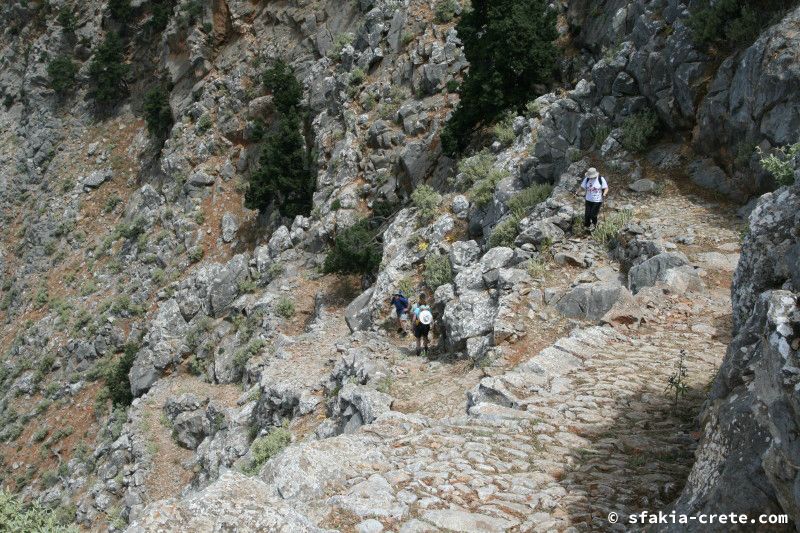 Photo report of a walk from Agios Ioannis - Selouda - Agios Pavlos, Sfakia, May 2008