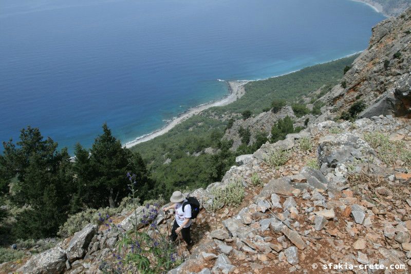 Photo report of a walk from Agios Ioannis - Selouda - Agios Pavlos, Sfakia, May 2008
