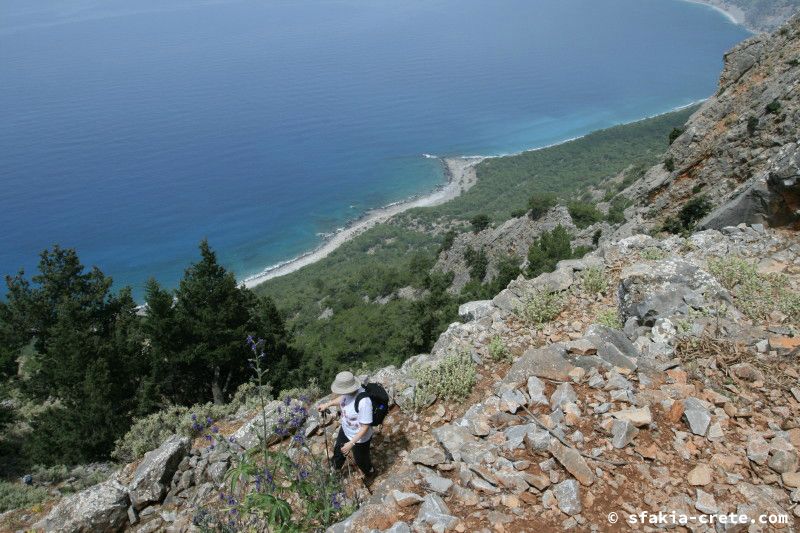 Photo report of a walk from Agios Ioannis - Selouda - Agios Pavlos, Sfakia, May 2008