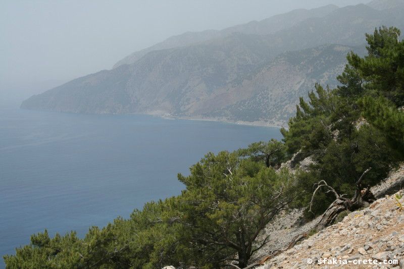 Photo report of a walk from Agios Ioannis - Selouda - Agios Pavlos, Sfakia, May 2008