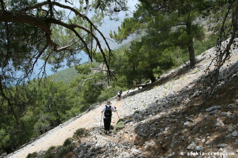 Photo report of a walk from Agios Ioannis - Selouda - Agios Pavlos, Sfakia, May 2008