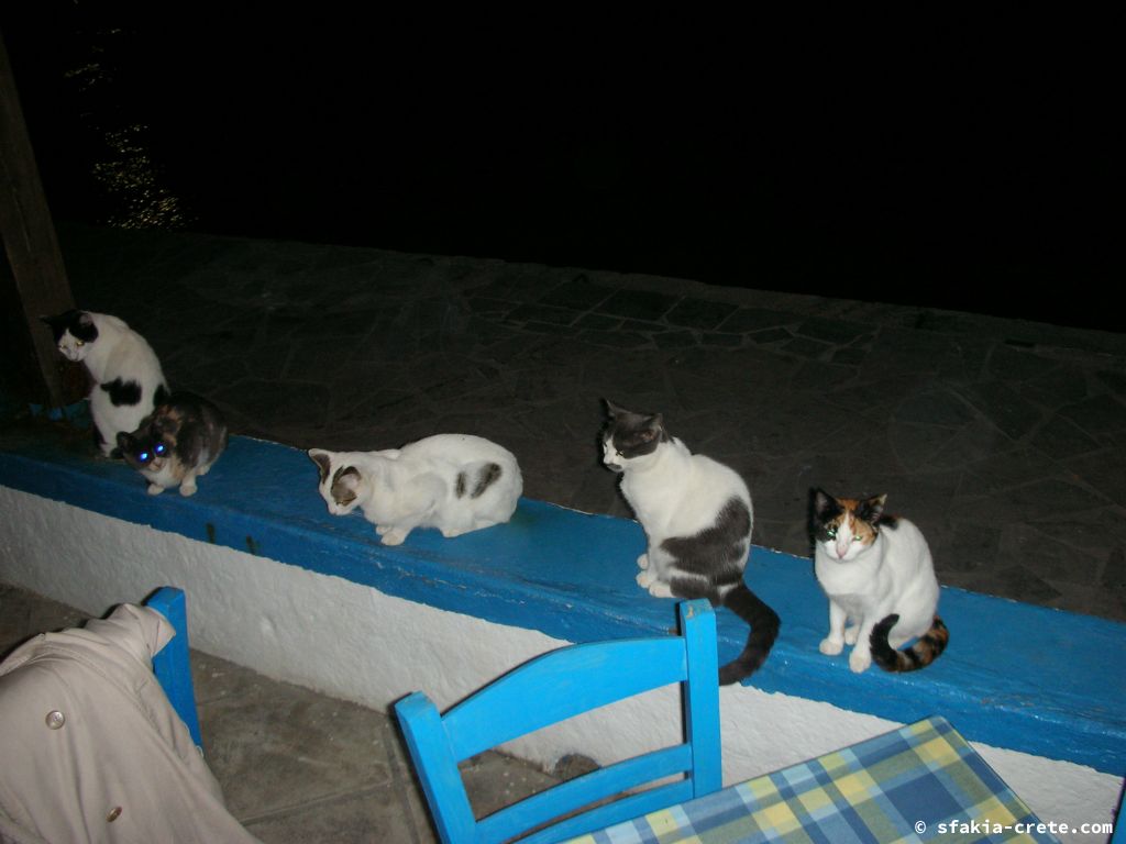 Photo report of a visit around Loutro, Sfakia in October 2007 and April - May 2008