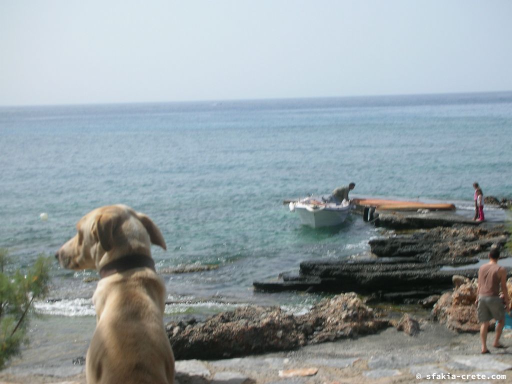 Photo report of a visit around Loutro, Sfakia in October 2007 and April - May 2008