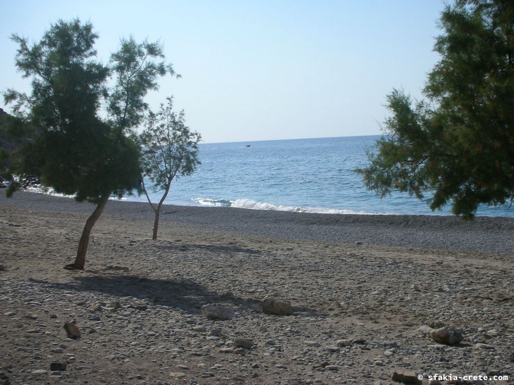 Photo report of a visit around Loutro, Sfakia in October 2007 and April - May 2008