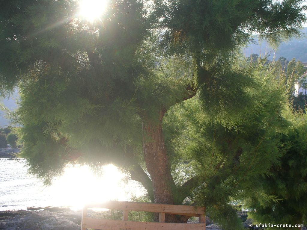 Photo report of a visit around Loutro, Sfakia in October 2007 and April - May 2008