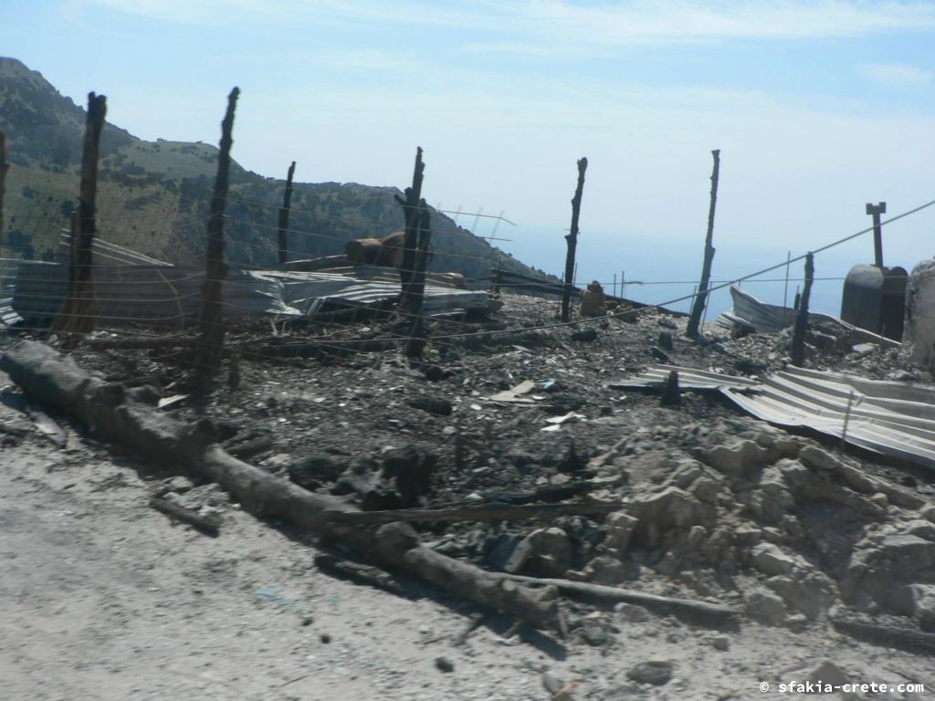 Photo report of a visit to Sfakia and Crete, April 2008