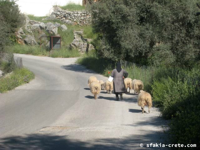 Photo report of a visit around Sfakia and Crete, April 2008