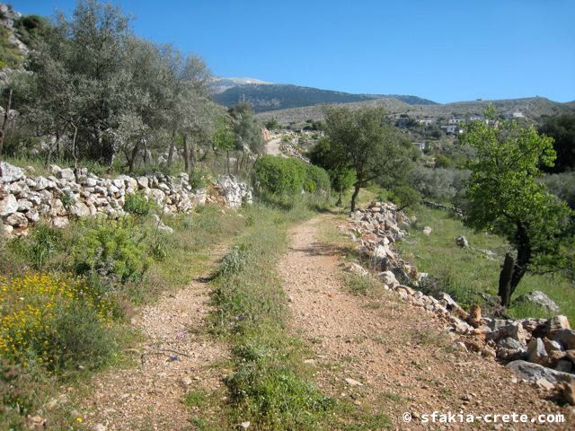 Photo report of a visit around Sfakia and Crete, April 2008