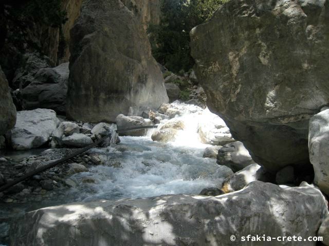 Photo report of a visit around Sfakia and Crete, April 2008