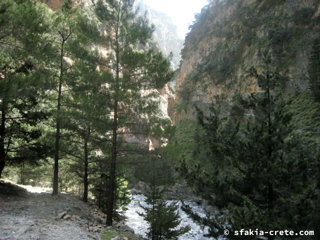 Photo report of a visit around Sfakia and Crete, April 2008