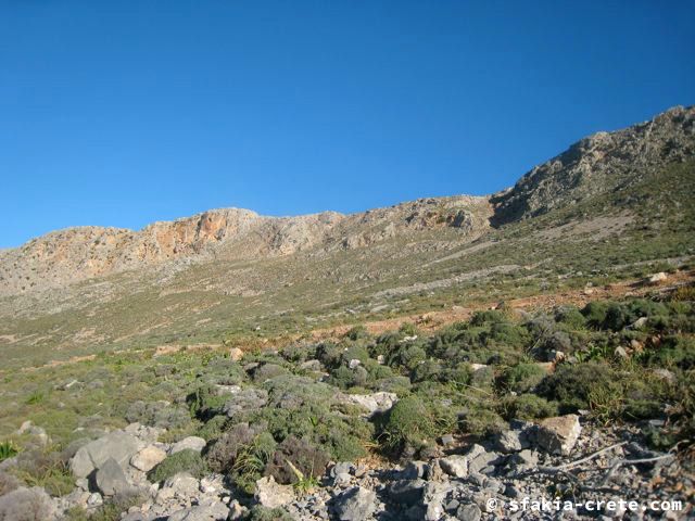 Photo report of a visit around Sfakia and Crete, April 2008