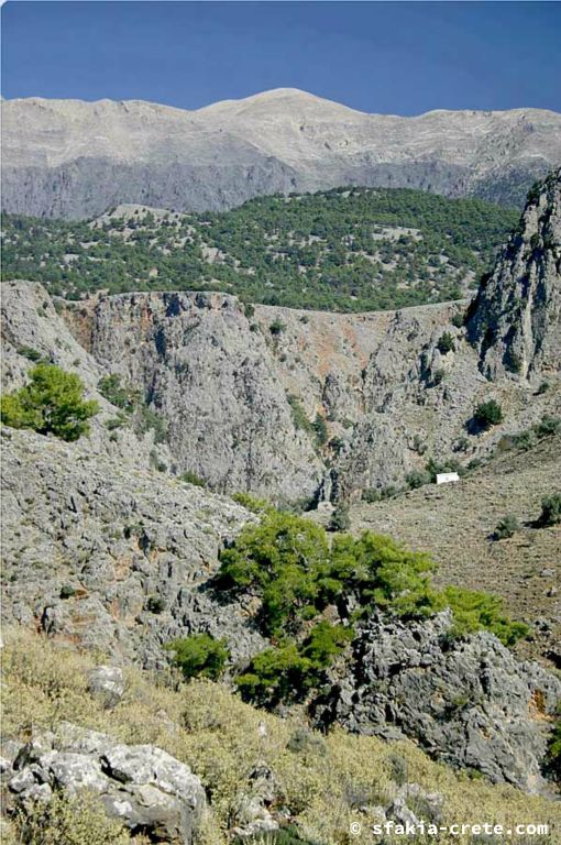 Photo report of a visit around Sfakia and Crete, Autumn 2007