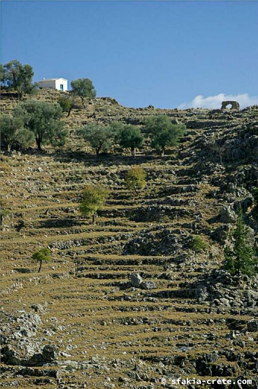 Photo report of a visit around Sfakia and Crete, Autumn 2007