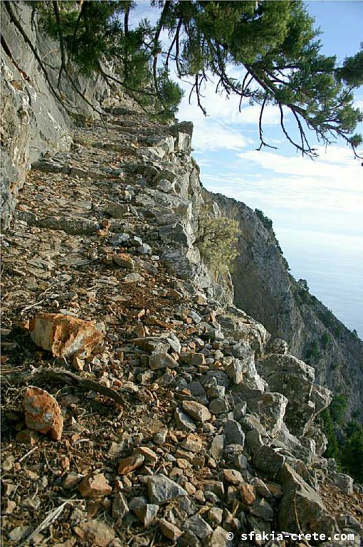 Photo report of a visit around Sfakia and Crete, Autumn 2007