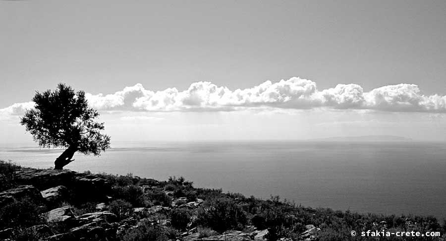 Photo report of a visit around Sfakia and Crete, Autumn 2007