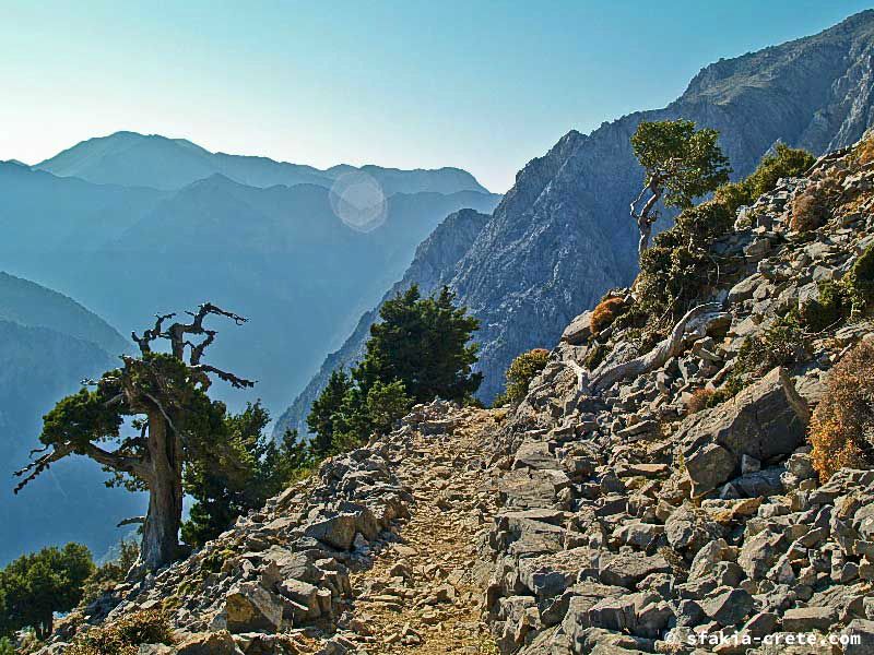 Photo report of a walk up Mount Gingilos above Samaria gorge, Sfakia, July and September 2007