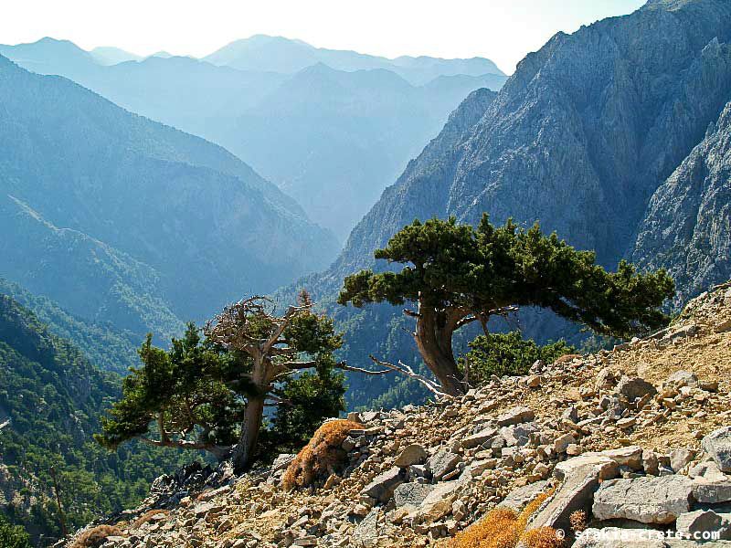 Photo report of a walk up Mount Gingilos above Samaria gorge, Sfakia, July and September 2007