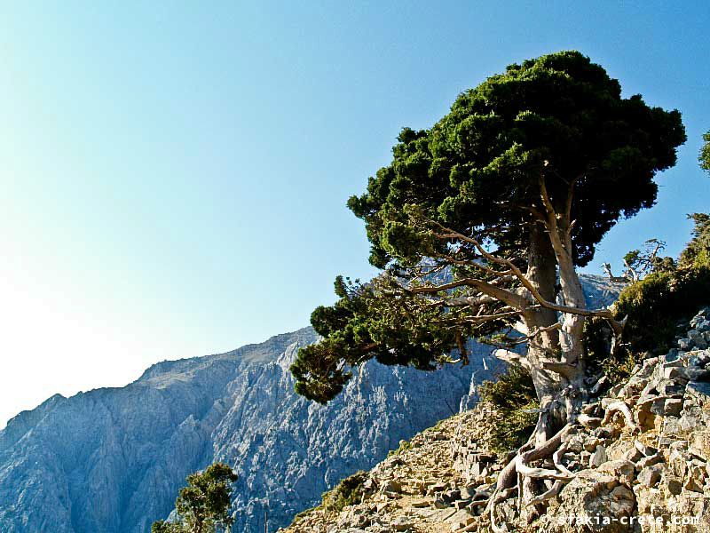 Photo report of a walk up Mount Gingilos above Samaria gorge, Sfakia, July and September 2007