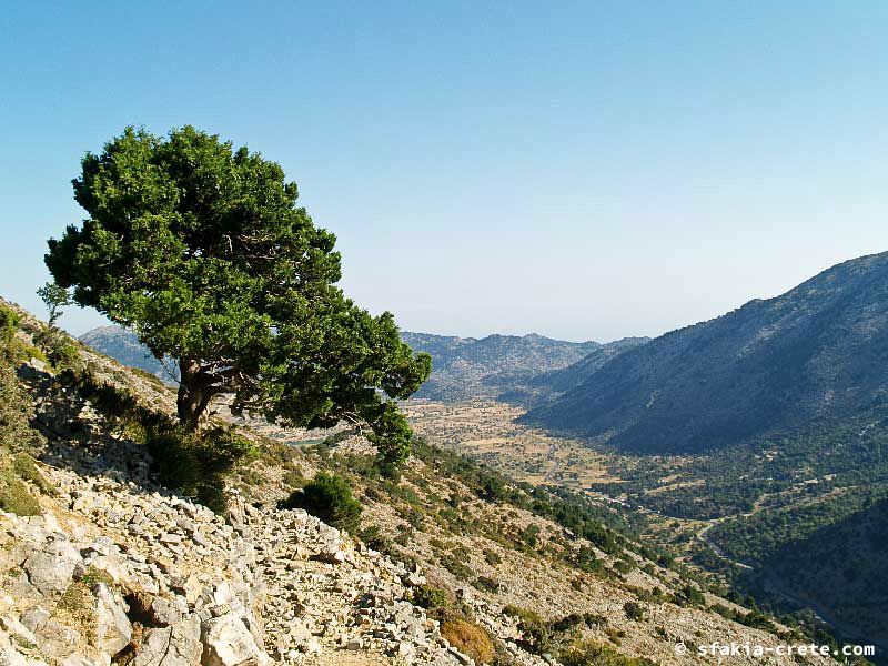 Photo report of a walk up Mount Gingilos above Samaria gorge, Sfakia, July and September 2007