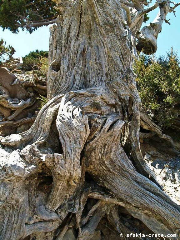 Photo report of a walk up Mount Gingilos above Samaria gorge, Sfakia, July and September 2007