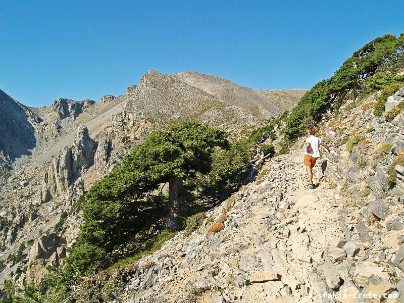 Photo report of a walk up Mount Gingilos above Samaria gorge, Sfakia, July and September 2007