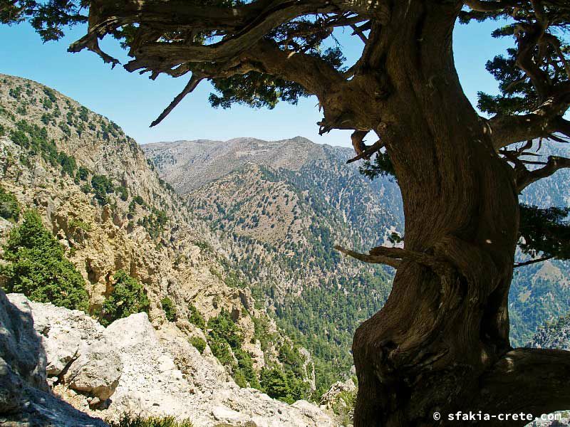 Photo report of a walk up Mount Gingilos above Samaria gorge, Sfakia, July and September 2007