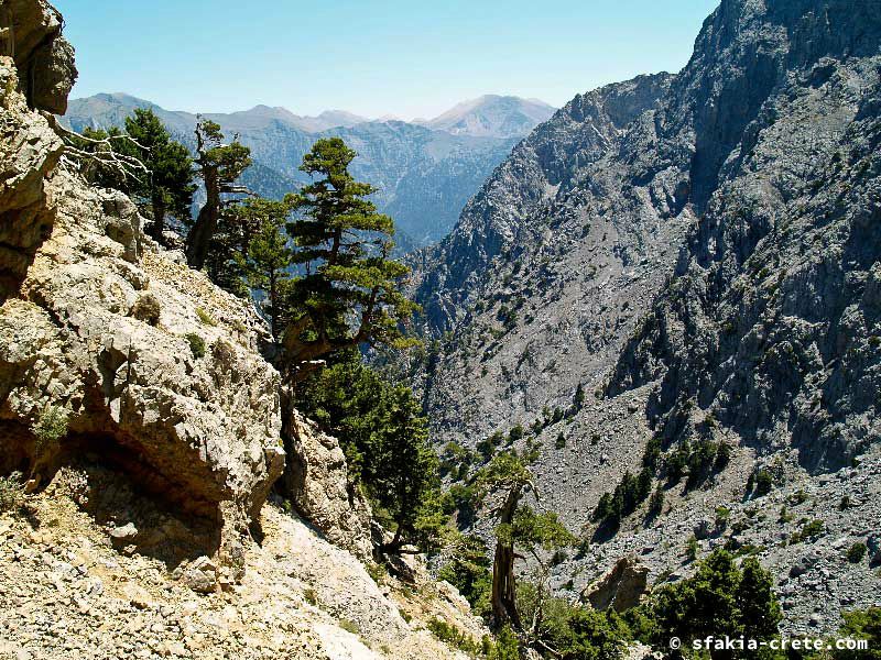 Photo report of a walk up Mount Gingilos above Samaria gorge, Sfakia, July and September 2007