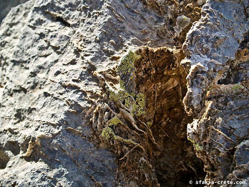 Photo report of a walk up Mount Gingilos above Samaria gorge, Sfakia, July and September 2007