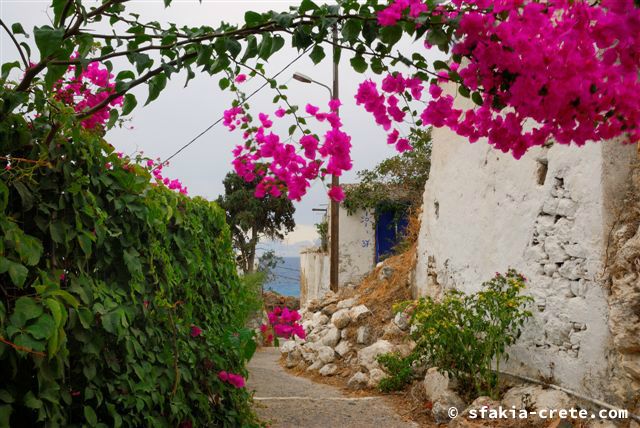 Photo report of a trip around Sfakia, September - October 2007