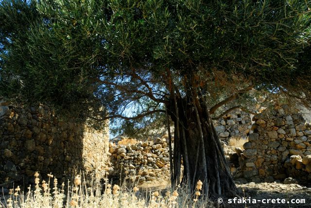 Photo report of a trip around Sfakia, September - October 2007