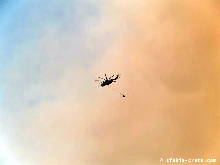 Photo report of forest and bush fires Selino valley, southwest Crete July 2007