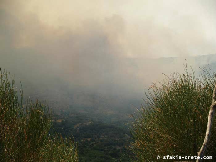 Photo report of forest and bush fires Selino valley, southwest Crete July 2007