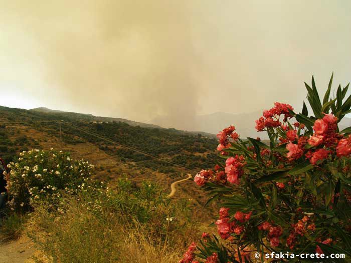 Photo report of forest and bush fires Selino valley, southwest Crete July 2007