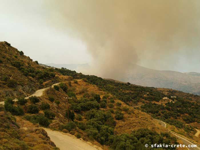 Photo report of forest and bush fires Selino valley, southwest Crete July 2007