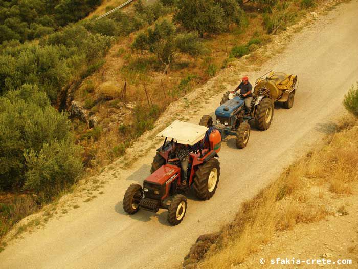 Photo report of forest and bush fires Selino valley, southwest Crete July 2007