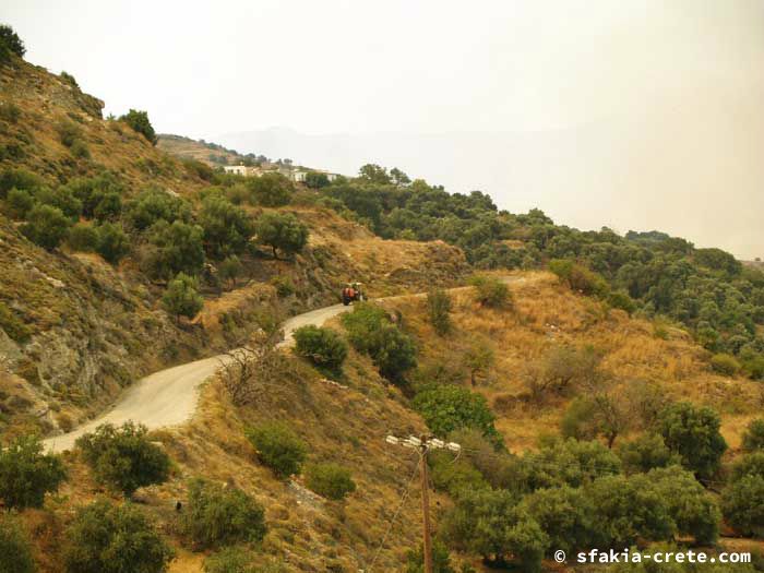 Photo report of forest and bush fires Selino valley, southwest Crete July 2007