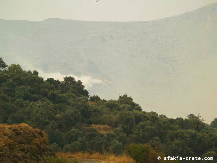 Photo report of forest and bush fires Selino valley, southwest Crete July 2007