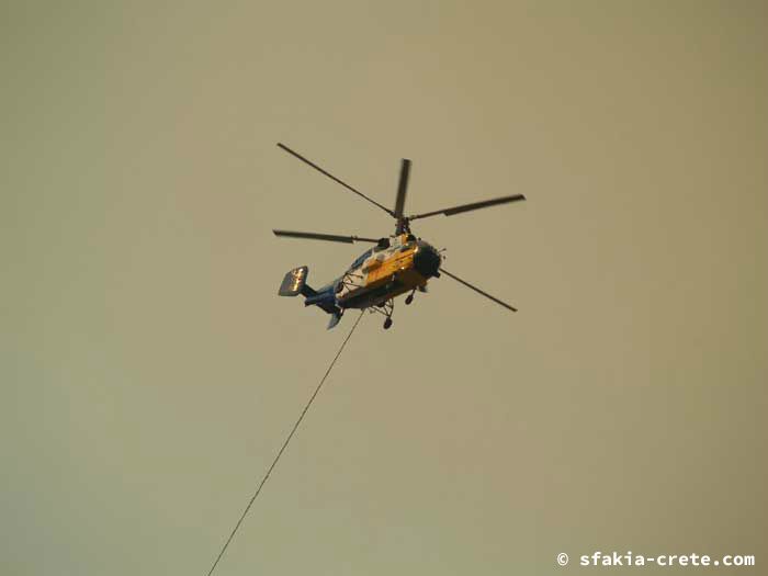 Photo report of forest and bush fires Selino valley, southwest Crete July 2007