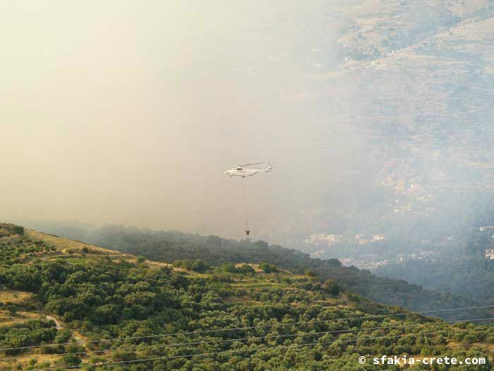 Photo report of forest and bush fires Selino valley, southwest Crete July 2007