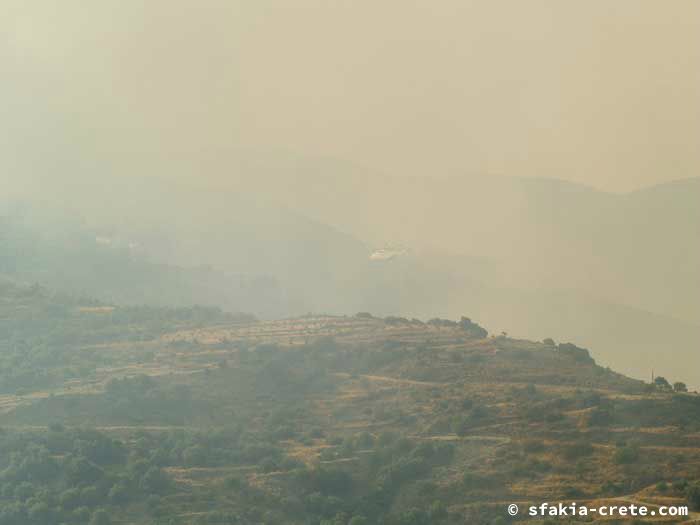 Photo report of forest and bush fires Selino valley, southwest Crete July 2007