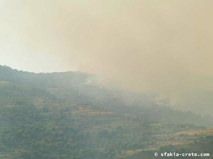 Photo report of forest and bush fires Selino valley, southwest Crete July 2007