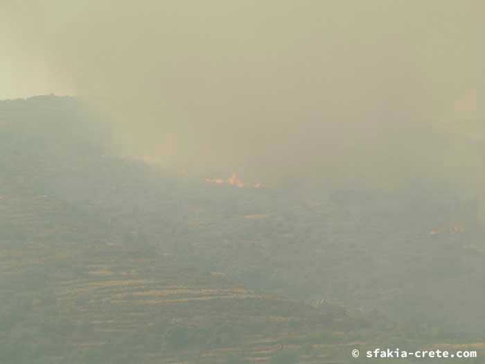 Photo report of forest and bush fires Selino valley, southwest Crete July 2007