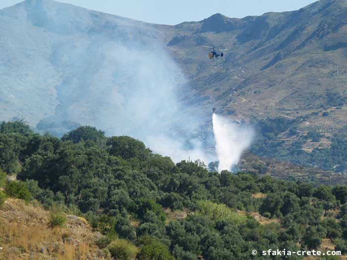 Photo report of forest and bush fires Selino valley, southwest Crete July 2007