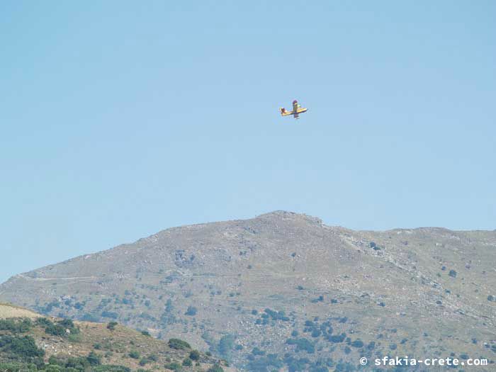 Photo report of forest and bush fires Selino valley, southwest Crete July 2007