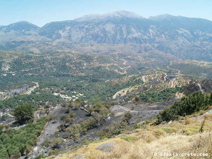 Photo report of forest and bush fires Selino valley, southwest Crete July 2007