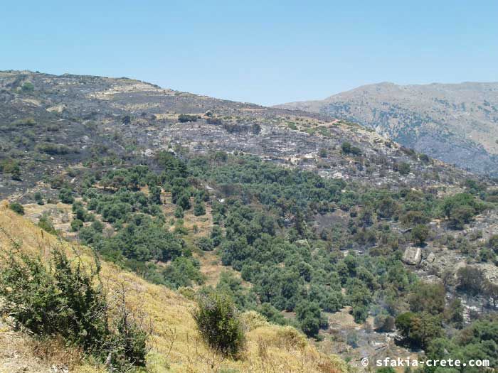 Photo report of forest and bush fires Selino valley, southwest Crete July 2007