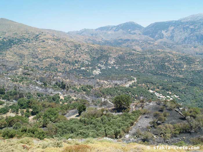 Photo report of forest and bush fires Selino valley, southwest Crete July 2007